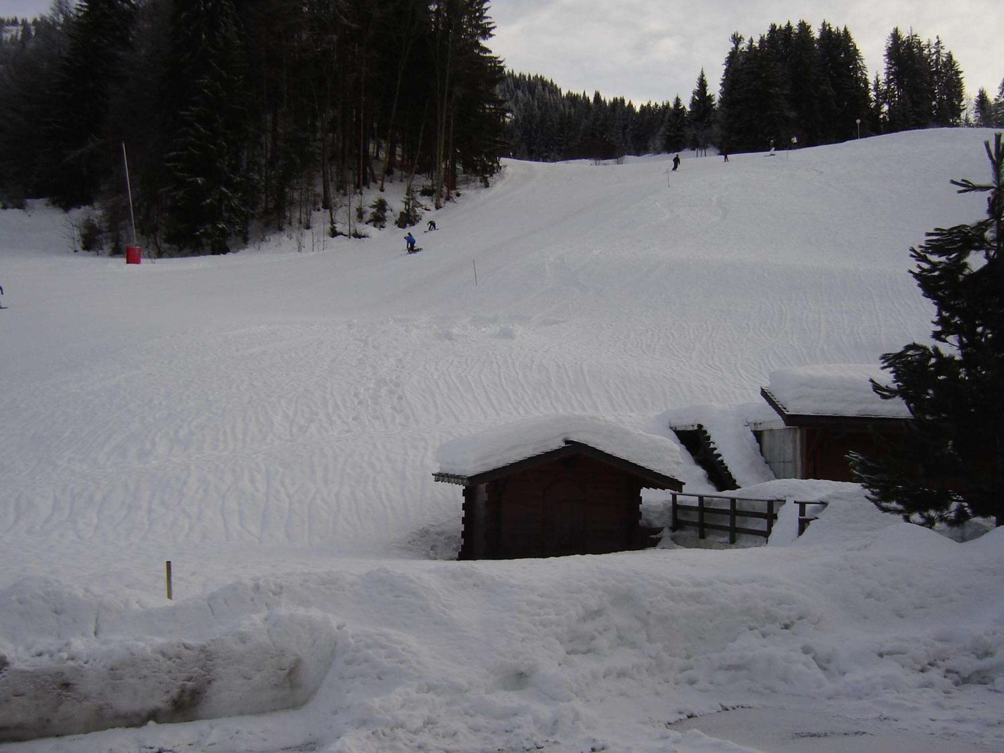 Hotel Les Bernards Praz-sur-Arly Luaran gambar