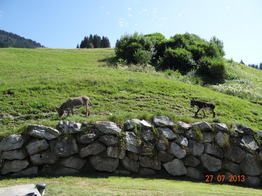 Hotel Les Bernards Praz-sur-Arly Luaran gambar